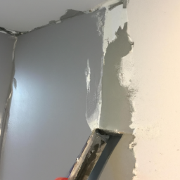 Peinture de Muret Extérieur: Personnalisation et Protection Rombas
